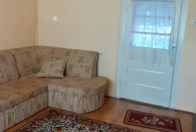 Vand casa in Almas, judetul Arad - 7