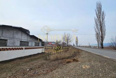 Teren de 57662 mp, în Căiuți - 4