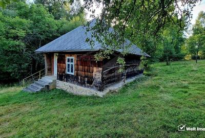 Casa de Poveste in Rasca, Cluj - Refugiul Ideal pentru  Relaxare - 45