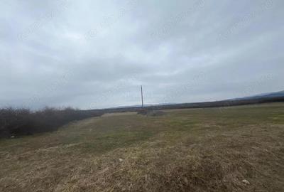 Teren de 16760 mp, în Periferie - 5