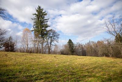 Teren intravilan, cu PUZ, Bran Tohanita,  SE ACCEPTĂ ȘI SCHIMB - 23