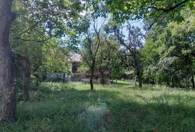 Spațiu comercial, în Vizantea Mănăstirească - 1