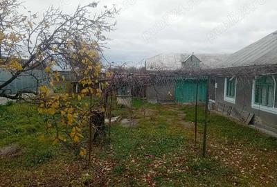 Casă cu 2 camere în Central - 2