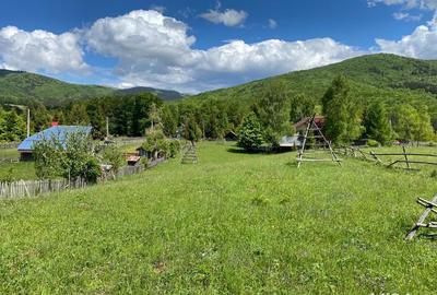 Teren de 2300 mp, în Trăisteni - 1