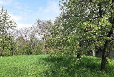 Provita de Sus, teren intravilan, constructie intabulata, ideal pentru renovare - 3