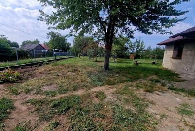 Oaza de liniste: casa cu livada si teren generos - Girov - 3