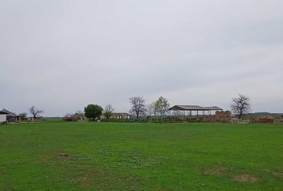 Teren de 100800 mp, în Sud - 1