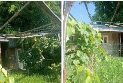Casă cu 3 camere cu Teren 1096 Mp în Cășăria - 9