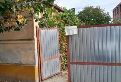 Casă cu 4 camere cu Teren 10000 Mp în Igriș - 1