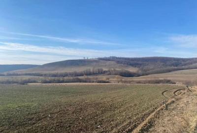 Spațiu comercial, în Mierlău - 1