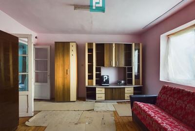 Teren generos și casă în Sânnicolau Mic - 5