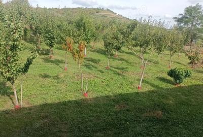 Casă în Moriști - 3