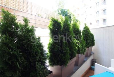 Studio modern langa parc, complet mobilat - 3