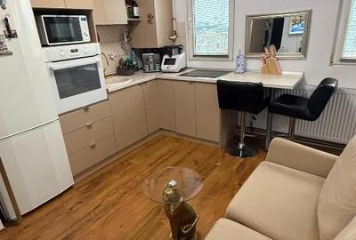 Garsonieră semidecomandată, mobilată în Podgoria - 7