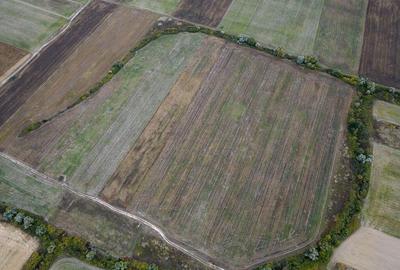 Teren agricol de 34.500mp in Albina, Jude?ul Timi? - 5