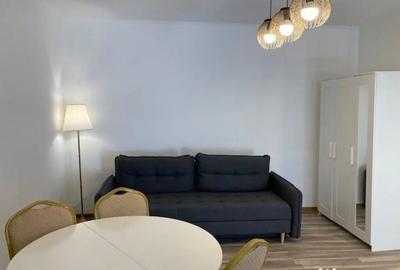 Apartament cu 2 camere decomandat, mobilat în Independenței - 8