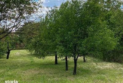 Casă cu 3 camere cu Teren 91 Mp în Titulescu - 4