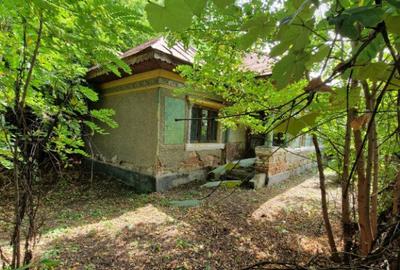 Teren 5.725 m Tomsani, Dambovi?a, la drum jude?ean - 2