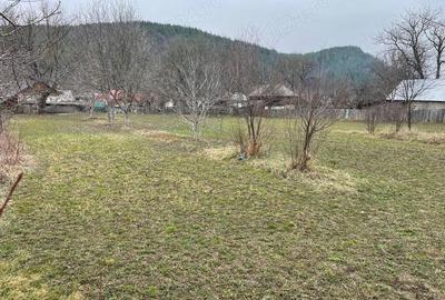 Teren în Câmpuri - 6