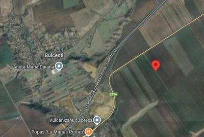 Teren extravilan 12500 mp, Valea Mare, Olt Teren extravilan 12500 mp, Valea Mare, Olt - 4