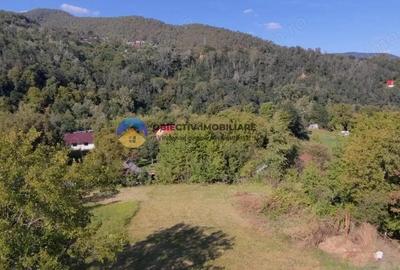 Casa tradi?ionala de vanzare - Alexandru cel Bun- view spre munte si lac - 4
