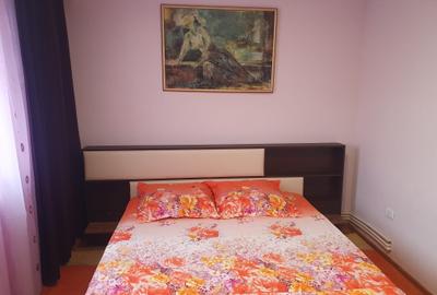 Apartament cu 2 camere semidecomandat, mobilat în Inel II - 12