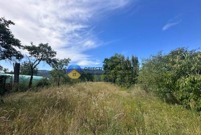 Teren + Casa de Vanzare 1170 mp Dumbrava Ro?ie, N - 9