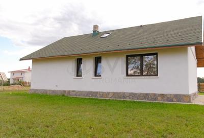 REV2004754 Case de Poveste in vecinatate cu natura l Piscu l Ciolpani - 4