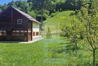 Casa de vacanta - zona Dambovicioara (ID: CP2392157) - 1