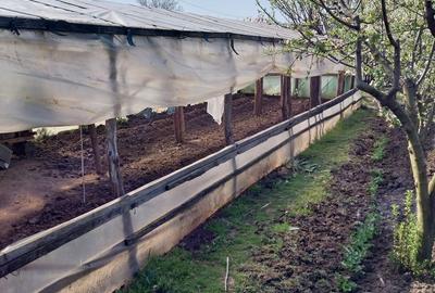 Casă cu 4 camere în Pietrele - 6