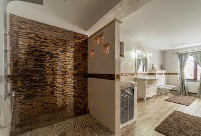 Casa primitoare de inchiriat in Valea Ursului-spa?iu, natu - 6