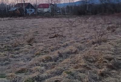 Spațiu comercial, în Merișor