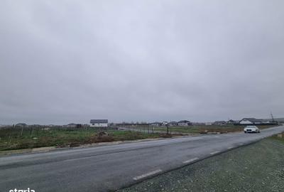 Teren de 500 mp, în Poarta Albă - 3