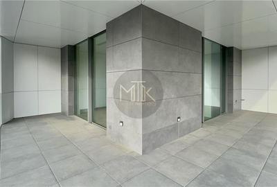 DUPLEX 5 camere 210 mp, curte+terase 250 mp | Lacul Floreasca - 17