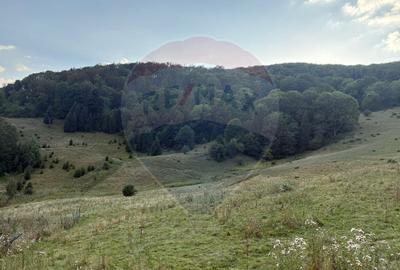 Teren agricol intravilan de 2050 mp, în Poiana Brașov - 5