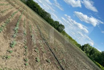 Teren de 4800 mp, în Central