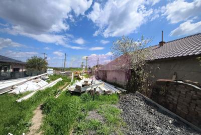 Teren de 1700 mp, în Cernica - 7