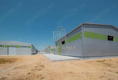 Spațiu comercial, de 240 mp, în Vest - 3