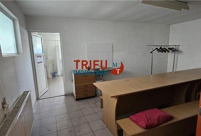 Hală industrială de închiriat în Sebeș  depozitare sau - 5