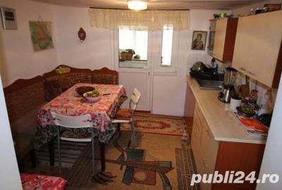 Casă cu 5 camere cu Teren 5000 Mp în Topolog - 2