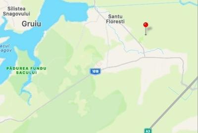 Teren agricol extravilan de 21500 mp, în Gruiu - 6