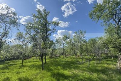 Teren intravilan de vanzare, 15080 mp, zona Tatara?ti - 2