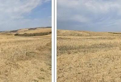 Teren Negureni, cota parte 1/8, ID: R2695094 - 7