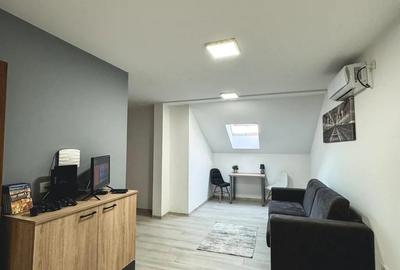 Ofer spre inchiriere STUDIO Modern si Primitor - 2