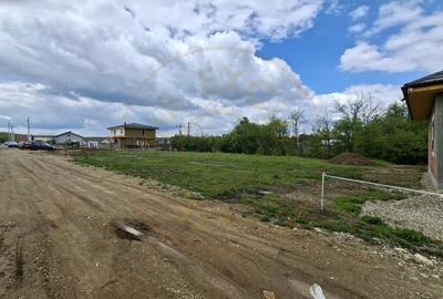 Teren Construcții intravilan de 500 mp, în Smeura - 10