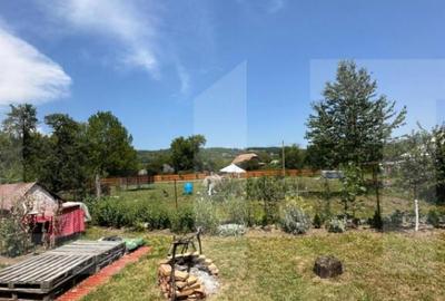 Casa taraneasca in inima naturii - 5