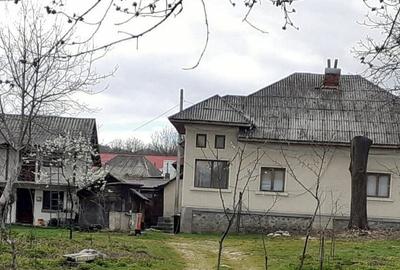 Casa de vanzare Domnesti Arges - 2