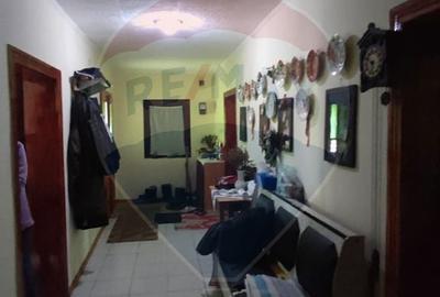 Casă cu 4 camere cu Teren 11769 Mp în Bulz - 8
