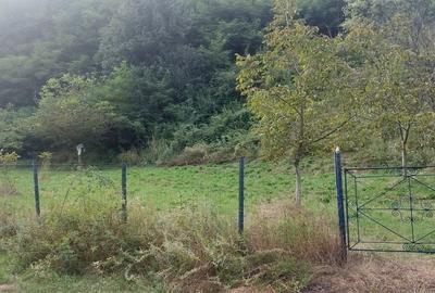 Teren de 7000 mp, în Voia - 1