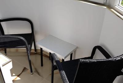 Garsonieră decomandată, mobilată în Nerva Traian - 13